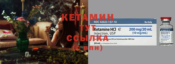 дживик Сясьстрой