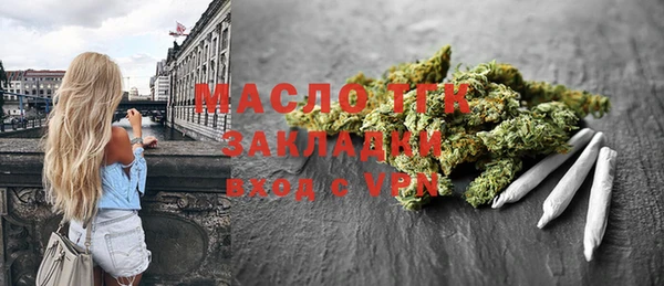 дживик Сясьстрой