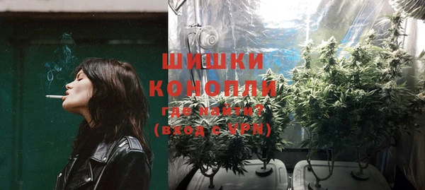 дживик Сясьстрой