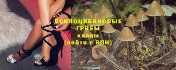 jwh Тайга